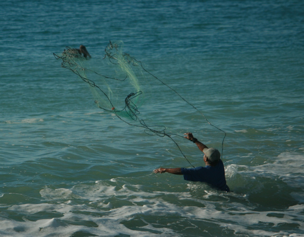 casting net